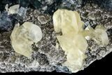 Green Fluorite and Yellow Calcite on Quartz - Fluorescent! #112871-1